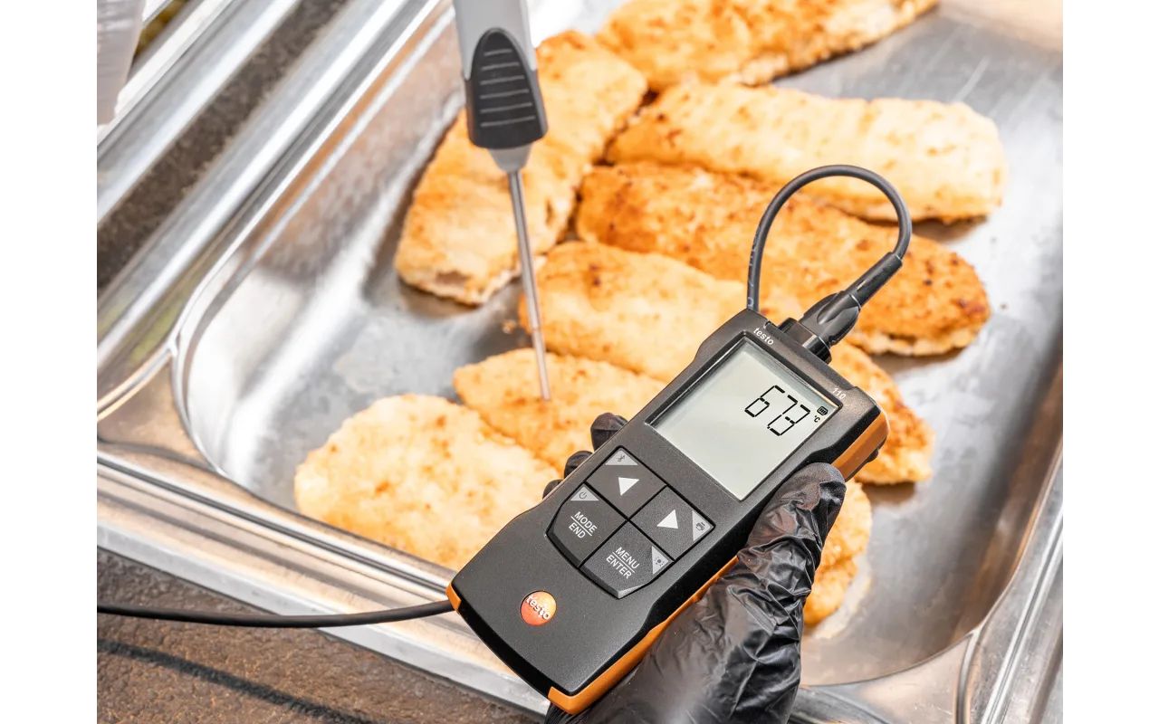 testo 110 - NTC and Pt100 temperature measuring instrument with App connection - Image 6